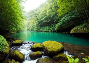 Tapete Arte: Dicas para Transformar seu Ambiente com Estilo [SEO]