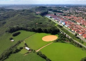 Tapete de Algodão: Conheça os Benefícios e Como Escolher o Melhor