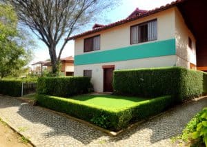 Tapetes ecologicamente corretos: opções sustentáveis para sua casa
